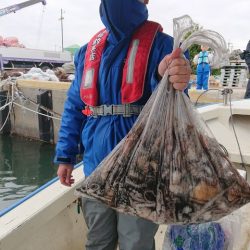 たかみ丸 釣果