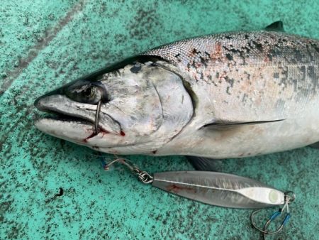 広進丸 釣果