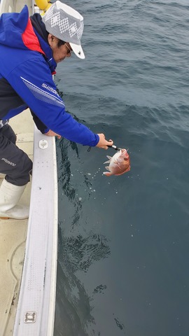 遊漁船　ニライカナイ 釣果