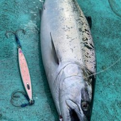 広進丸 釣果