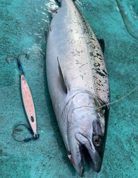 広進丸 釣果