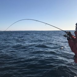 まると屋 釣果