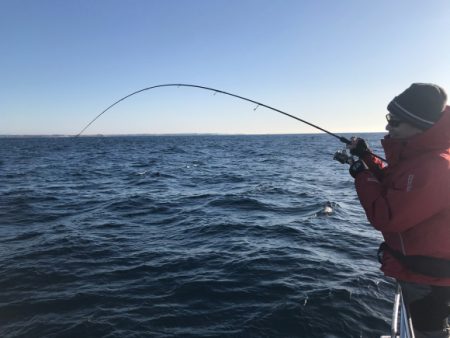 まると屋 釣果