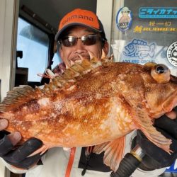 遊漁船　ニライカナイ 釣果