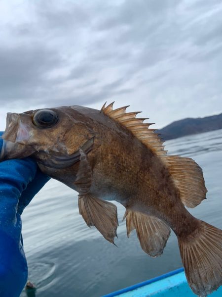 宝昌丸 釣果