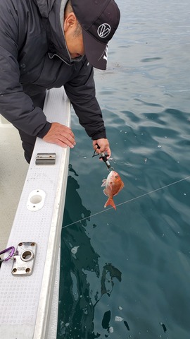 遊漁船　ニライカナイ 釣果