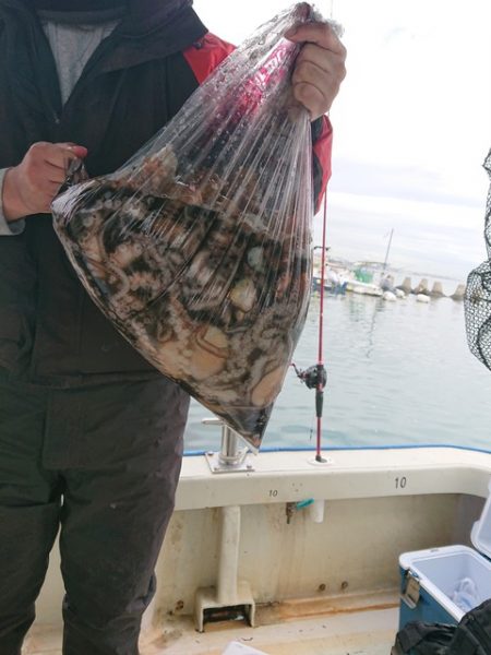 たかみ丸 釣果