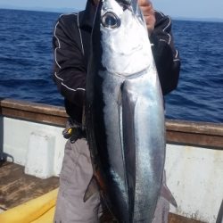 小海途 釣果