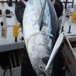 小海途 釣果