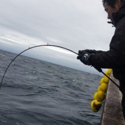 小海途 釣果