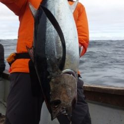 小海途 釣果