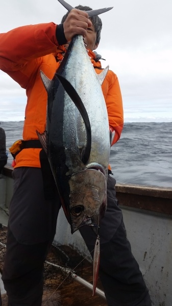 小海途 釣果