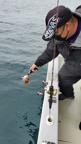 遊漁船　ニライカナイ 釣果