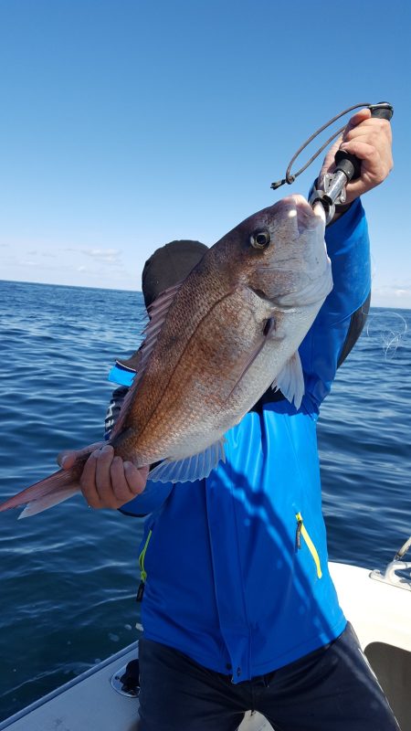 海峰 釣果