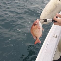 遊漁船　ニライカナイ 釣果