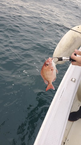 遊漁船　ニライカナイ 釣果