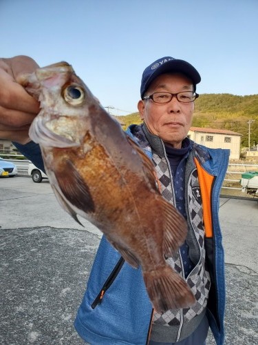 桑田観光 釣果