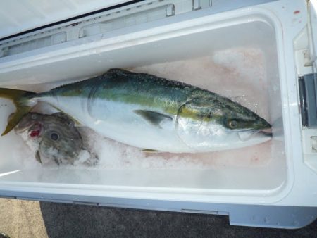 浅間丸 釣果