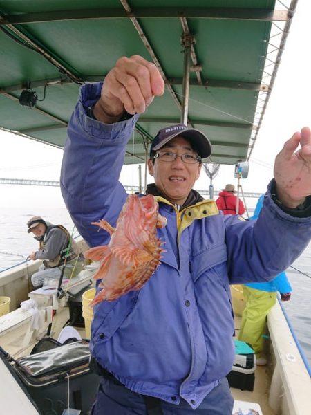 たかみ丸 釣果