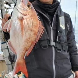 遊漁船　ニライカナイ 釣果