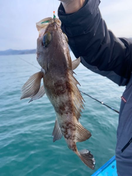 宝昌丸 釣果