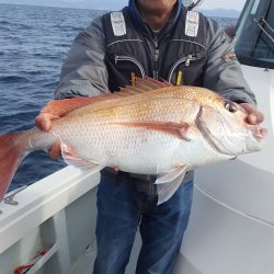 海峰 釣果