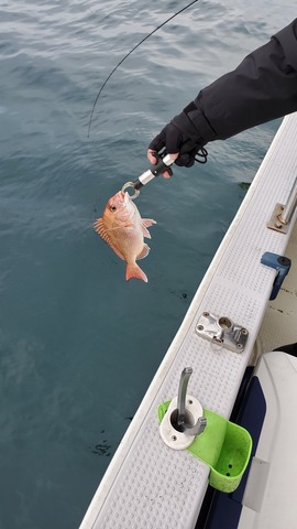 遊漁船　ニライカナイ 釣果