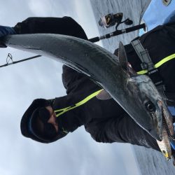 松鶴丸 釣果