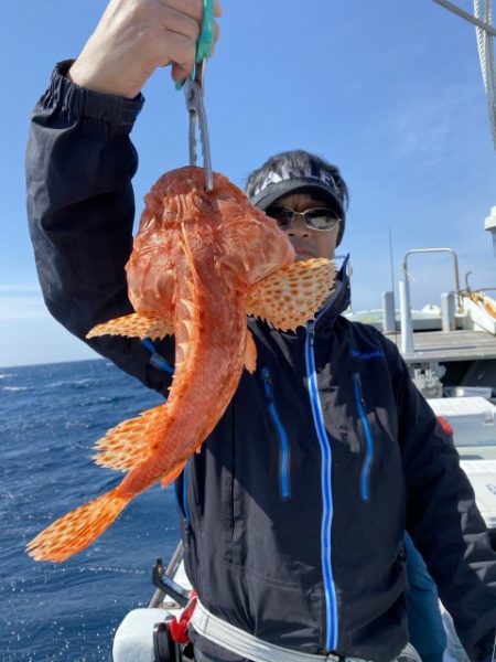 たいし丸 釣果