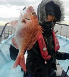 東京湾探釣隊ぼっち 釣果