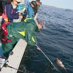 海晴丸 釣果