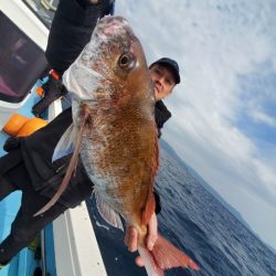 海晴丸 釣果