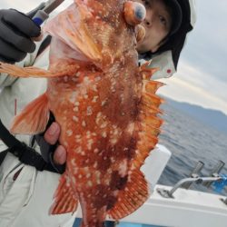 海晴丸 釣果