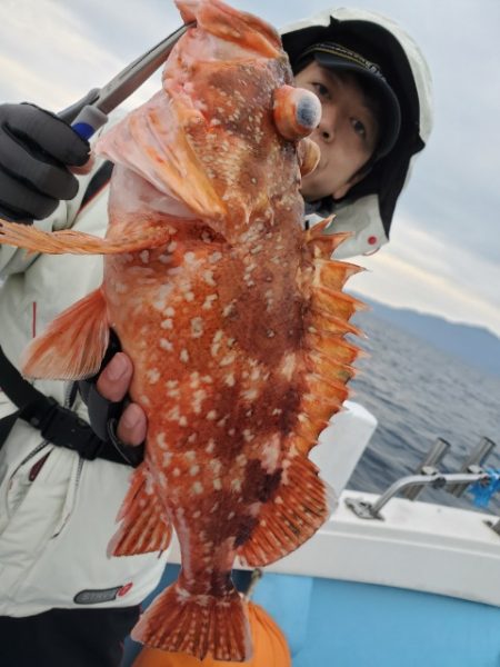 海晴丸 釣果