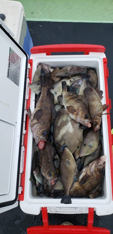 海龍丸（石川） 釣果