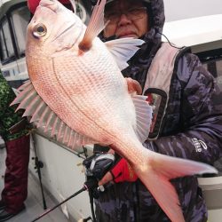 だて丸 釣果