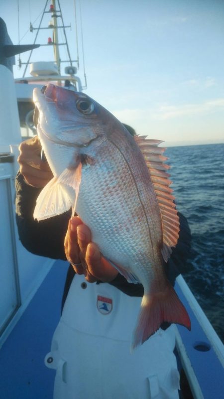 新幸丸 釣果