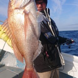 だて丸 釣果