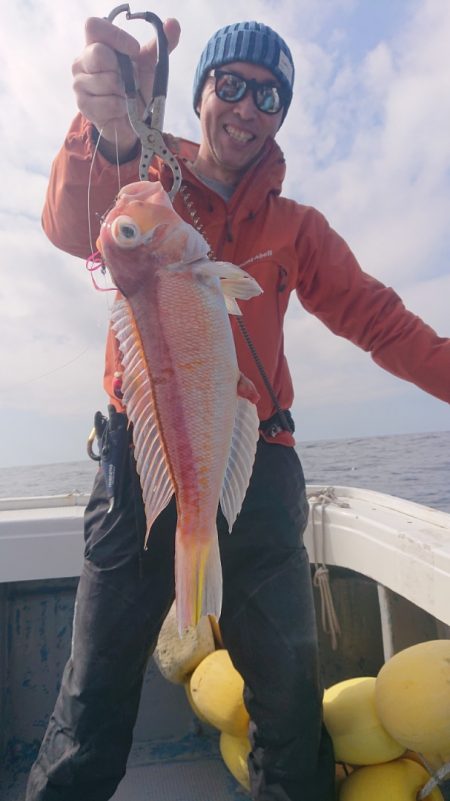 だて丸 釣果