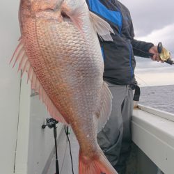 だて丸 釣果