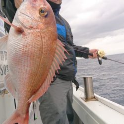 だて丸 釣果