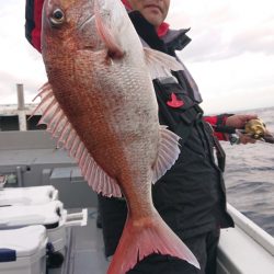 だて丸 釣果