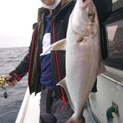 だて丸 釣果