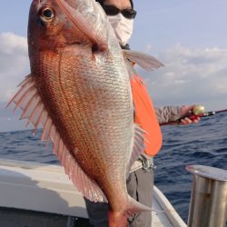 だて丸 釣果