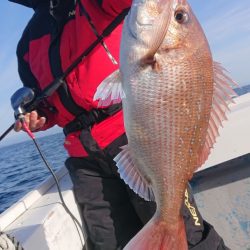 だて丸 釣果