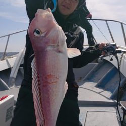 だて丸 釣果