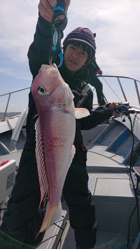 だて丸 釣果