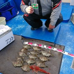 清和丸 釣果