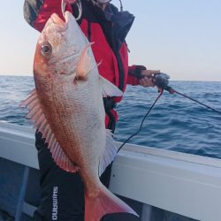 だて丸 釣果