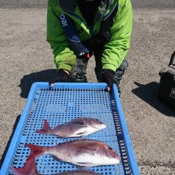 第三共栄丸 釣果